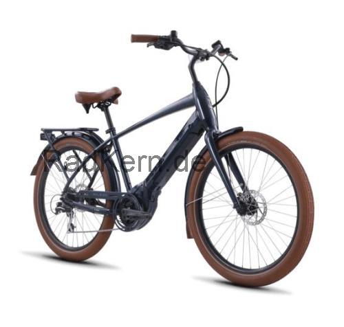 Raleigh Retroglide Royale IE  technische daten 
